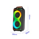 Zore GD-2823 Dijital LED Göstergeli FM Radyolu Mikrofonlu RGB TWS Çift 8 inç Stereo Bass Kablosuz Karaoke Hoparlör - 2