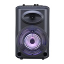 Zore GD-903 Dijital LED Göstergeli FM Radyolu Mikrofonlu RGB TWS 8 inç Stereo Bass Kablosuz Karaoke Hoparlör