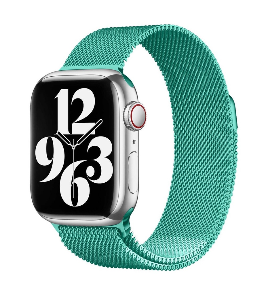 Apple Watch 38mm Uyumlu Kordon Hasır Metal Mıknatıslı Örgü Zore KRD-01 Kayış